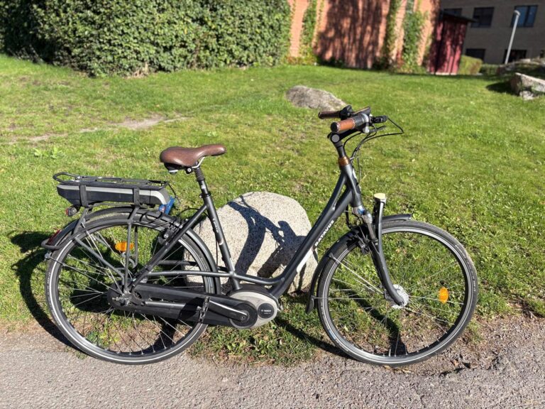 Batavus garda ego