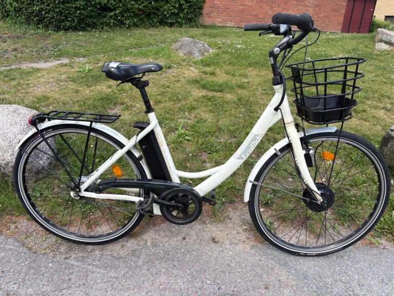 Ecoride vit