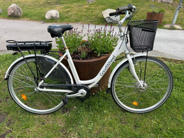 Goodwheel elcykel