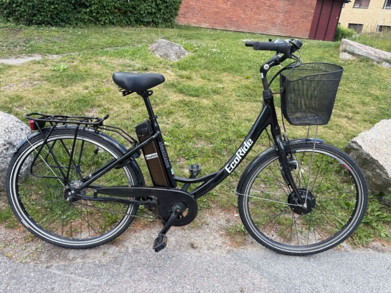 Ecoride svart