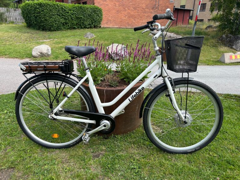 Lifebike vit 28"