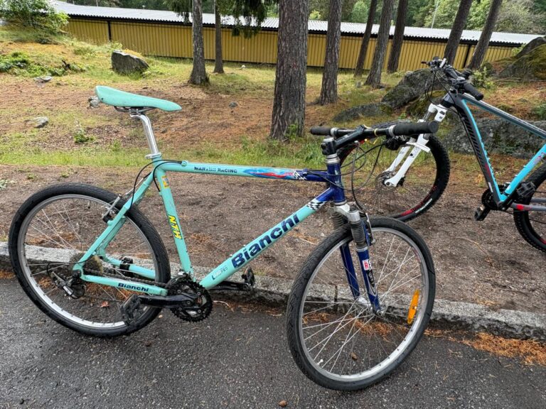 Bianchi hybrid