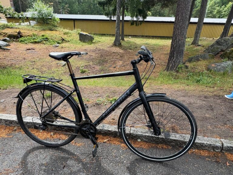 Nishiki svart