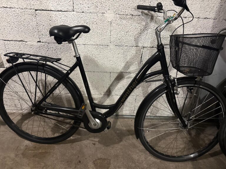 Winther damcykel
