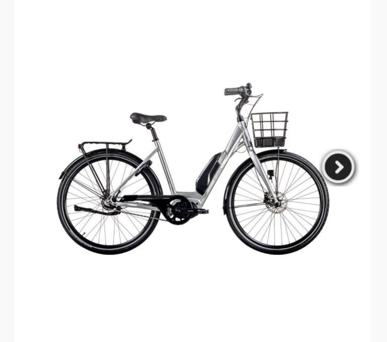 ecoride silver