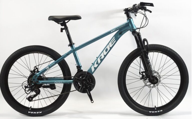 mtb 24 21