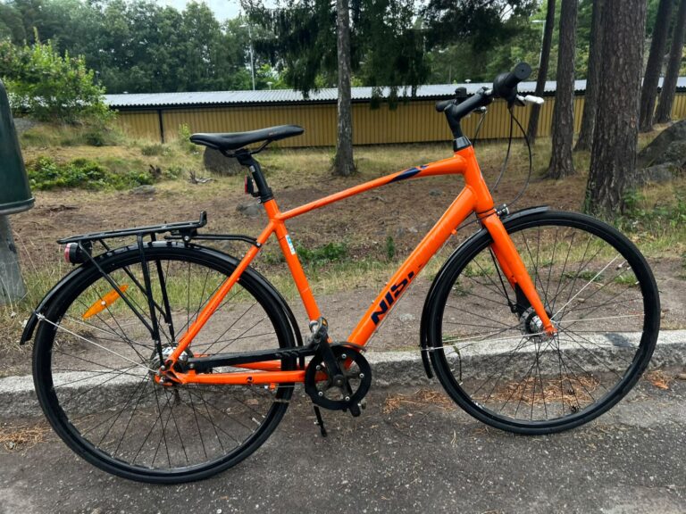 Nishiki orange