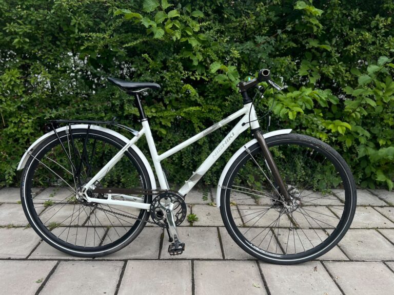 Nishiki Intro vit