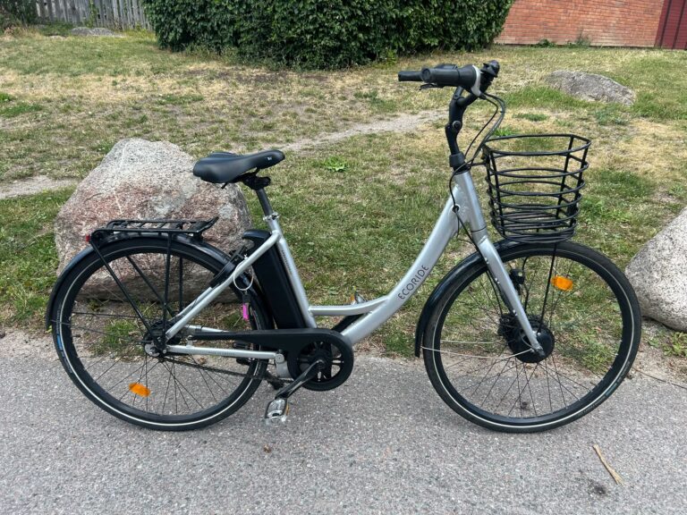 Ecoride silver