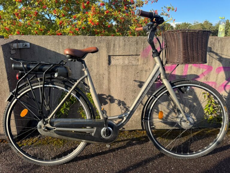 batavus torino