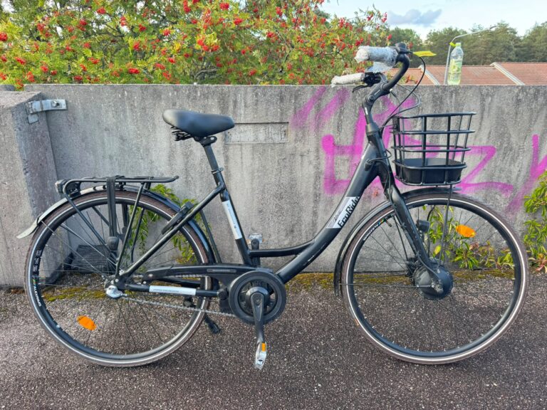 ecoride