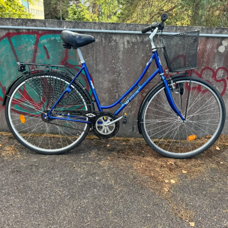 Rex 4 vxl
